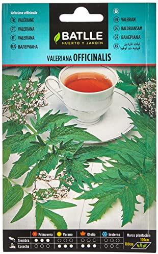 Graines aromatiques de Batlle - Valériane Officinalis (0,5g)