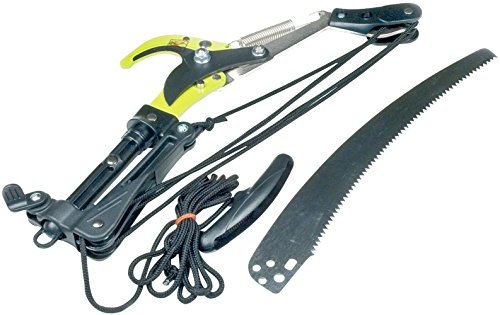 Ama 33050 Svettatoio con segaccio