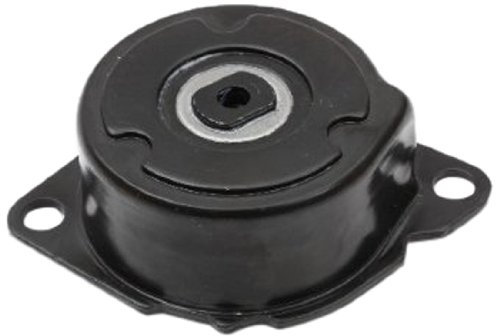 JAPANPARTS JPTL-L00 Smorzatore Vibrazioni Cinghia Poly-V