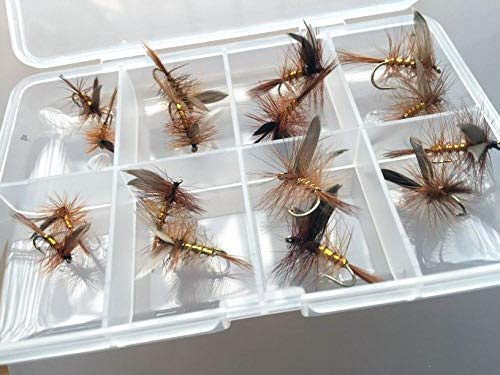 Pesca alla trota DRY FLY WICKHAMS FANCY Set di 16 mosche clip gratuito chiuso Fly Box UK PACK # 319