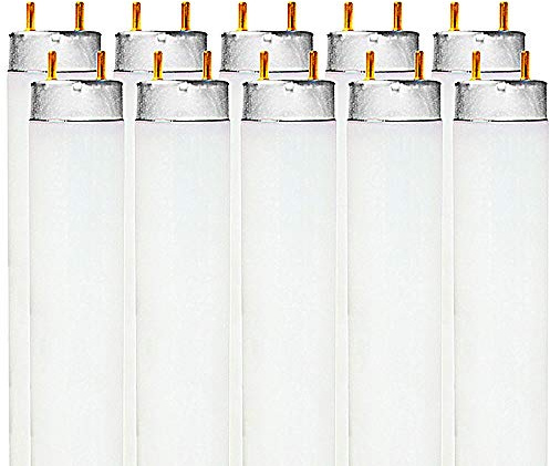 LUXRITE LR20730 (10-Pack) F32T8/841 32-Watt 4 FT T8 Fluorescent Tube Light Bulb, Cool White 4100K, 2800 Lumens, G13 Medium Bi-Pin Base