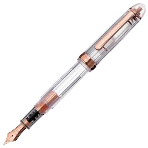 Platinum fountain pen # 3776 Century Nice fine print (F)