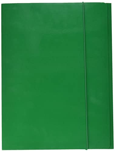 Alevar Cartella 3 Lembi con Elastico 600 g, Formato A4, Colore Verde, Confezione da 10 Pezzi