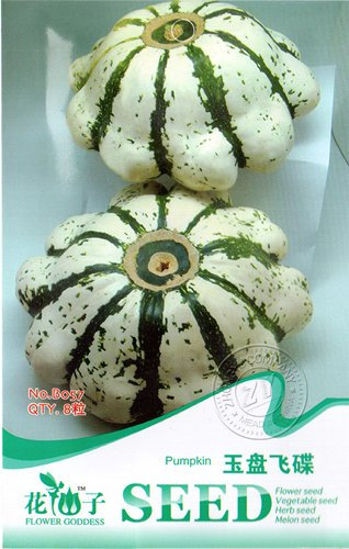 Semi rari Heirloom UFO Patty Pan di zucchine Bianco Verde banda estate squash, confezione originale, 8 semi / Pack, Zucche ornamentali