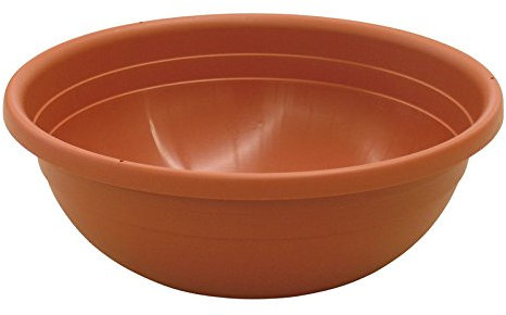 Ics cuenco para flores