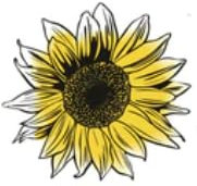 Just Seed - Flower - Carnation - Superb Formula Series Mixed - 300 Seeds