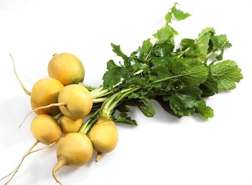 Vegetable - Kings Seeds - Pictorial Packet - Turnip - Golden Ball