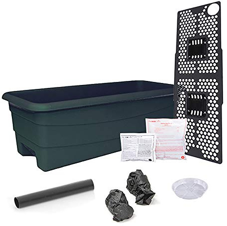 Novelty 80651 Earthbox Junior Organic Garden Kit, Green