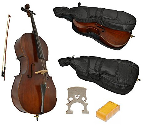 1/8 Size Student Cello with Soft case by Sotendo