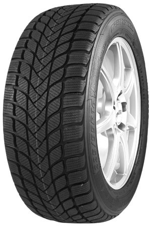 Mastersteel Winter + IS-W - 225/55R17 97H - Winterreifen