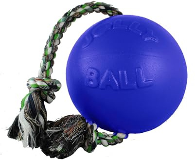 Jolly Pets Romp-N-Roll Ball Color: Blue, Size: 14 H x 6 W x 6 D