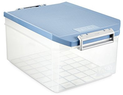 Tatay Caja Almacenaje Multiusos con Tapa, 14 l de Capacidad, Con Asas, Polipropileno, Libre de BPA, Azul Paloma, Medidas 27 x 39 x 19 cm