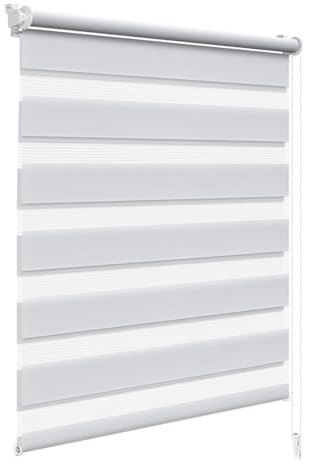 WOLTU Doppelrollo Klemmfix ohne Bohren Grau B60 x H220 cm, Duo Rollo lichtdurchlässig Fensterrollo für innen verdunkelnd, Zebrarollo mit Kettenzug - Seitenzugrollo für Fenster und Tür