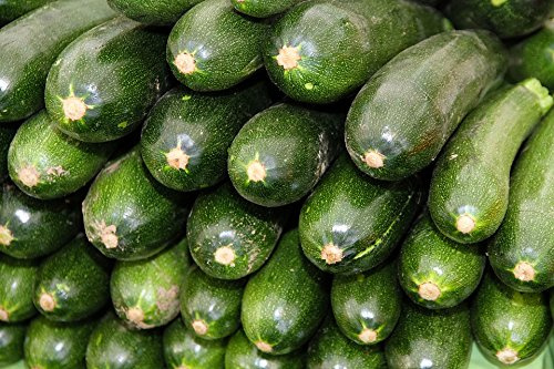“Black Beauty” Zucchini Seeds – Fast-Growing, Prolific Zucchini aka Courgette – Harvest in 50 Days | Cucurbita Pepo 'Black Beauty' | Never GMO, Always Heirloom | USA Grown Seeds - Liliana's Garden |