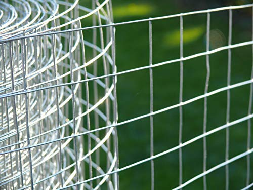 4wire Handy Roll of Wire Mesh 3ft Tall 1x1 Holes 16G Fox/Dog Proof & Cat Safe 6 Meter Roll