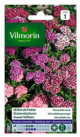 Vilmorin - Oeillet de poète Hirondelle varié