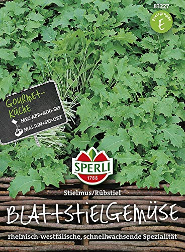 Sperli-Samen Blattstielgemüse (Stielmus)