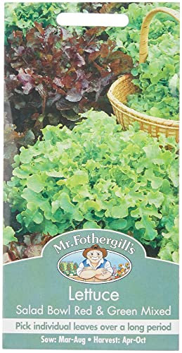 Mr Fothergill's 17329 Vegetable Seeds, Lettuce Salad Bowl Red & Green Mixed, red/Green