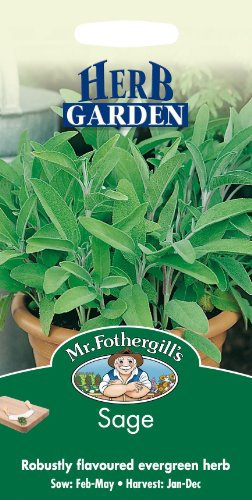 Mr Fothergills - Pictorial Packet - Herb - Sage - 75 Seeds