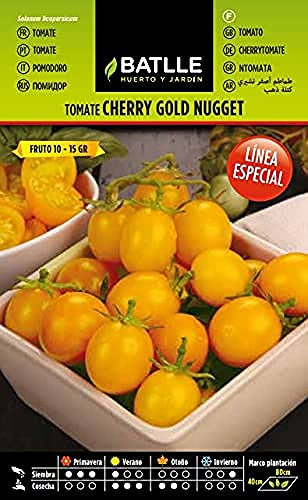 Semillas Batlle Semences de tomates spéciales Jaune Golden Nugget