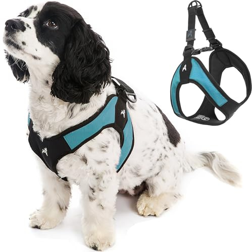 Gooby Escape Free Easy Fit Dog Harness, Step-in, Turquoise, Medium
