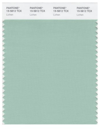 PANTONE Smart 15-5812X Color Swatch Card, Lichen