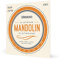 D'Addario EFW74 11-36 Medium Flatwound Mandolin Strings - Phosphor Bronze
