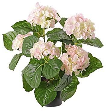 kunstpflanzen-discount.com Hortensien Kunstblume 42cm mit 5 Creme-rosa farbigen Blüten im Topf - Künstliche Hortensien blühend