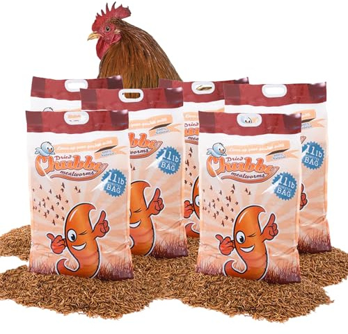 Chubby Dried Mealworms | 66 lbs | High-Protein Non-GMO Treats for Chickens, Ducks, Wild Birds & Backyard Pets