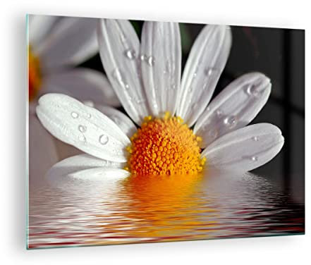 Quadro su Vetro Erbe camomilla fiore acqua Stampe da Parete in Vetro 70x50cm Quadri Moderni Soggiorno Camera da Letto Cucina 1 pezzo Piccoli Decorazione Murale Wall Art Grafica Immagini GAA70x50-2282