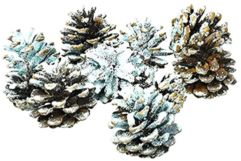 Lakeland Northern Lights Colour Fire Cones –Change Colour In Flames Suitable For Any Real-Flame Fire