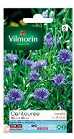 Vilmorin Sachet graines Centaurée Bleuet Bleue