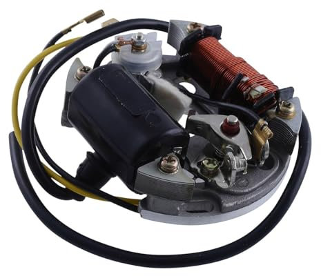 2EXTREME 6V 17W Lichtmaschine, Zündung, Zündspule kompatibel für Puch Maxi, Hercules Mofa, Prima, 2, 3, 4, 5, Sachs 505