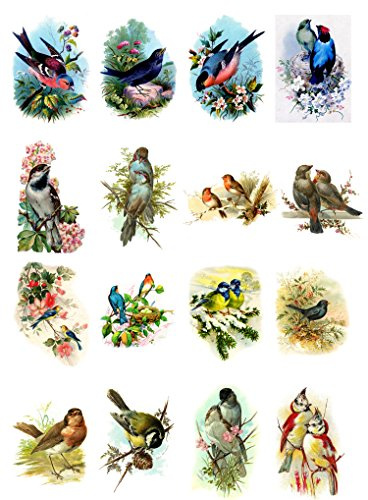 Decoupage Paper Pack (10sheets A4 / 8x12) Beautiful Birds FLONZ Vintage Paper