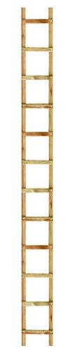 Outifrance 8833020 Echelle de toit en Bois 2,00 m/8 échelons entraxe 25 cm