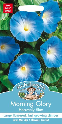 Mr Fothergill's 21960 MORNING GLORY Heavenly Blue Flower Seeds