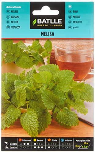 Graines aromatiques de Batlle - Mélisse (1g)