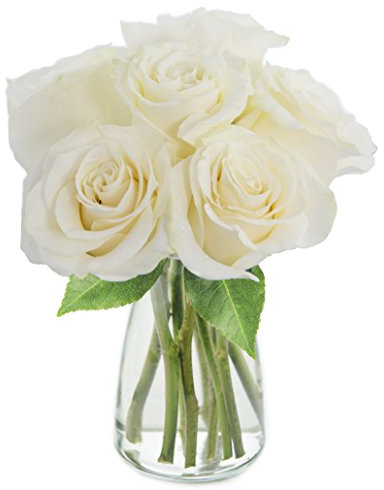 KaBloom PRIME NEXT DAY DELIVERY - Bouquet of 6 Fresh cut White Roses with Vase .Gift for Birthday, Sympathy, Anniversary, Get Well, Thank You, Valentine, Mother’s Day Fresh Flowers