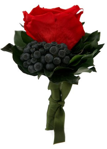 1 echte konservierte Rose als Exklusives Blumensträusschen haltbar mindestens 3 Jahre - Rosemarie Schulz (Rot)