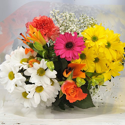 Homeland Florists Bright Variety Fresh Mixed Flower Bouquet - Flowers Delivery Next Day - Send a Cheery Fresh Mixed Bunch as a Get Well or Thank You Gift
