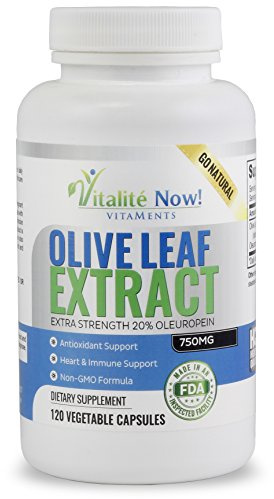 Vitalité Now! Super Strength Best Olive Leaf Extract (Non-GMO) - 20% Oleuropein - Immune Support Supplement - Up to 4 Months - 750mg Capsules - Vegetarian - 120 Count