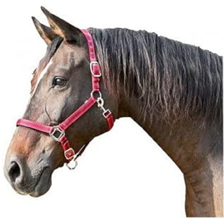 Kerbl Aktionsware Mustang 2-Posizioni, Rosso/Nero, 3, 321971