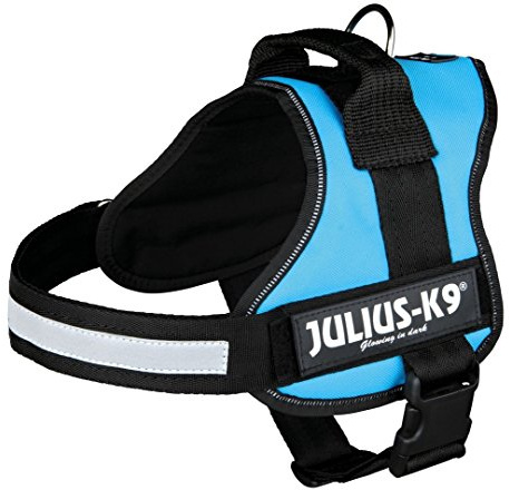 Julius-K9 Arnés K9 Power, Aguamarina, 2XL/3
