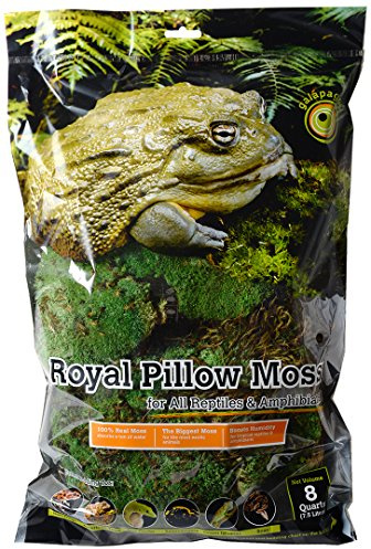 Galápagos (05254) Royal Clumps of Real Pillow, Natural, 8 quart
