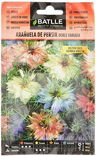 Batlle NIGELLE DE Damas