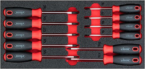 Vigor Juego de destornilladores Torx V4991