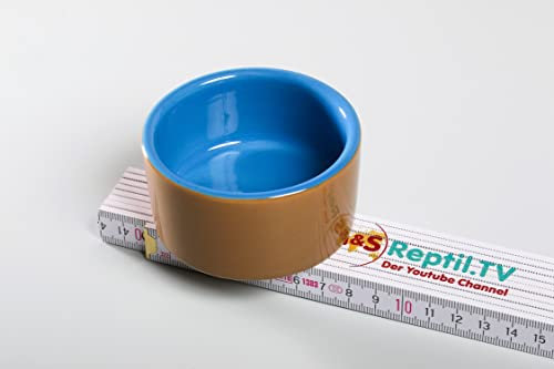 Wasserschale, small ca. 7,5 cm Durchmesser