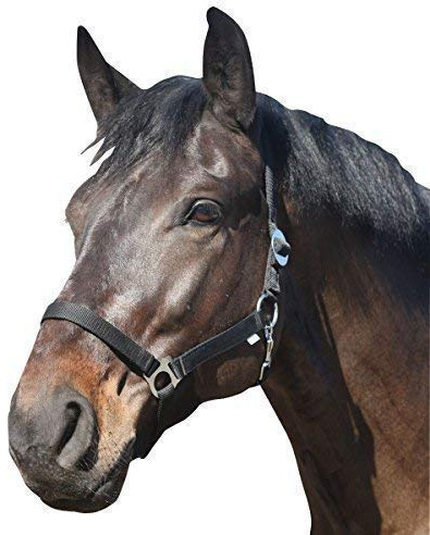 Eldorado halfter standard – nero – Pony