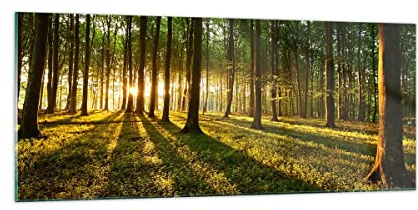 Vidrios decorativos 100x40cm Cuadro Sobre Vidrio Moderno Bosque verde sol rayos naturaleza Grande Cocina Cuadros Pared Impresiones Decoracion Salon Impresión en Cristal Wall Art Prints GAB100x40-2510