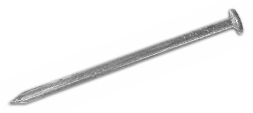Chiodi in Ferro Lucido TP Testa Piana 13x30 mm Cavatorta confezione 5 KG